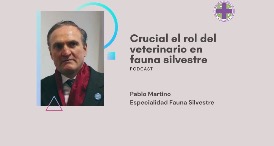 dr pablo martino