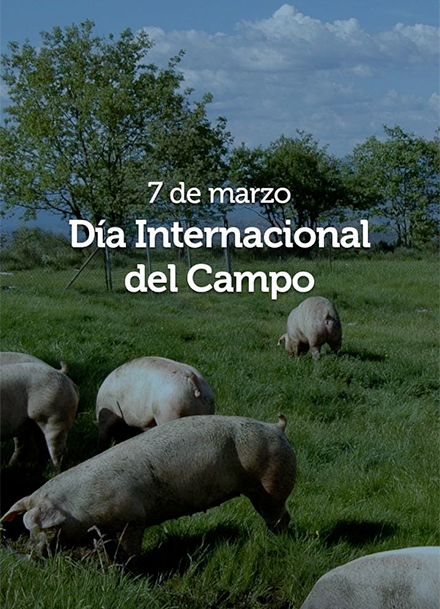 7 marzo dia campo