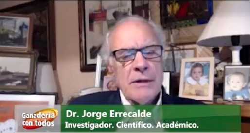 Dr Errecalde