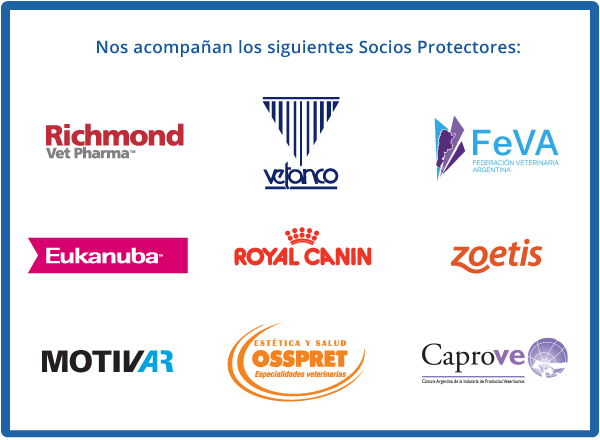 Socios Protectores web