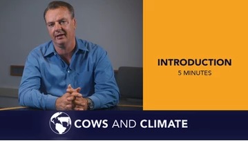 Las Vacas y el clima