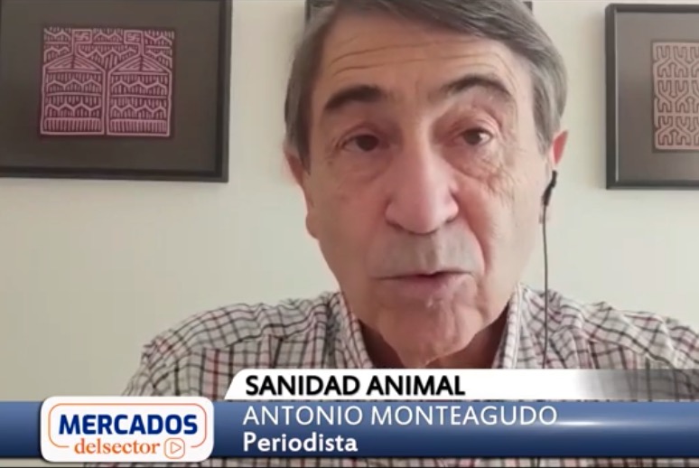 Antonio Monteagudo - Sanidad Animal