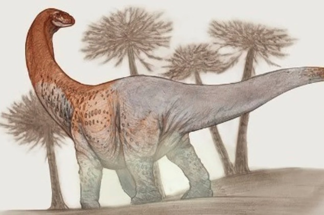 Chucarosaurus: encontraron en Río Negro los restos de un dinosaurio gigante de 90 millones de años