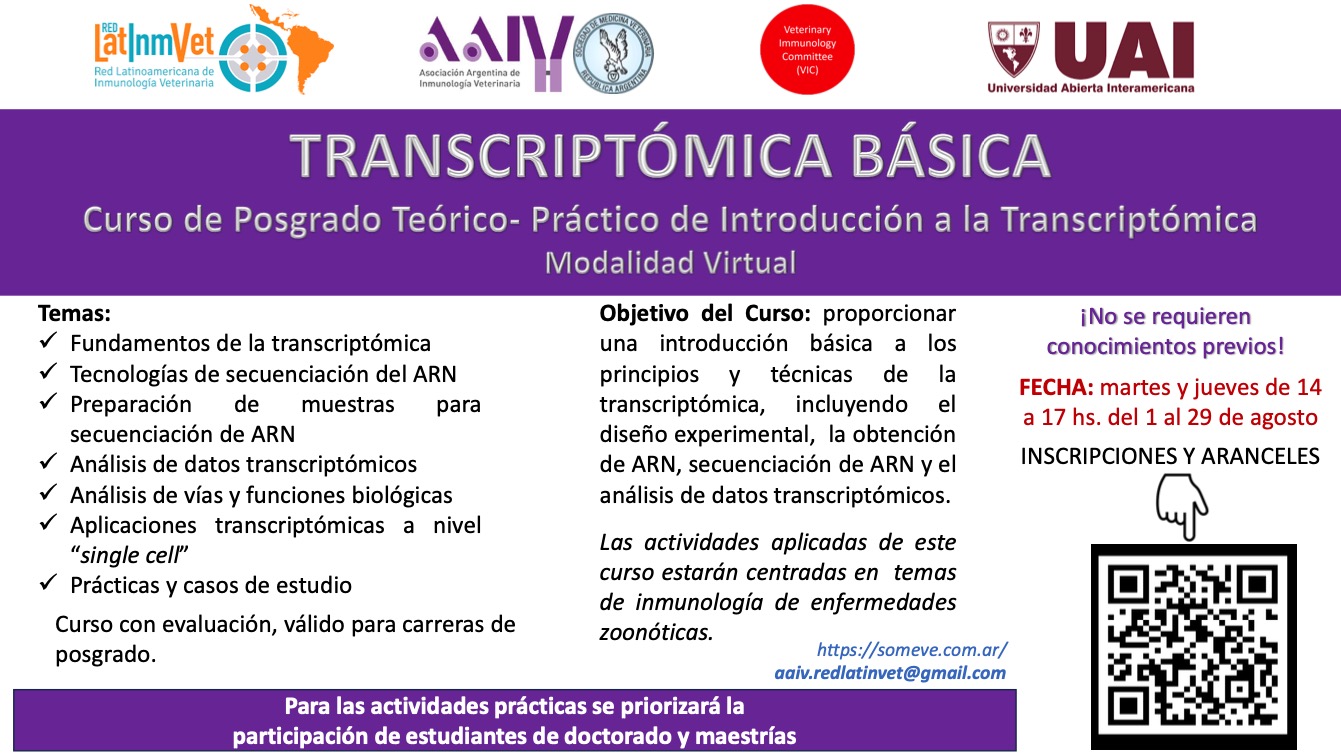 previo FLYER AAIV