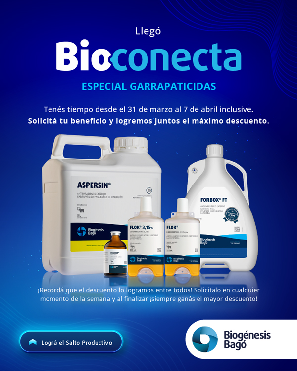 Mail Lanzamiento600